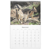 dieren van australië 2027 kalender (Mar 2027)