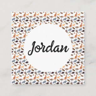 Dieren van Australië Aussie Wildlife Informatiekaartje