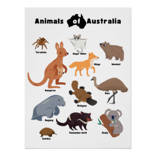 Dieren van Australië Aussie Wildlife Perfect Poster