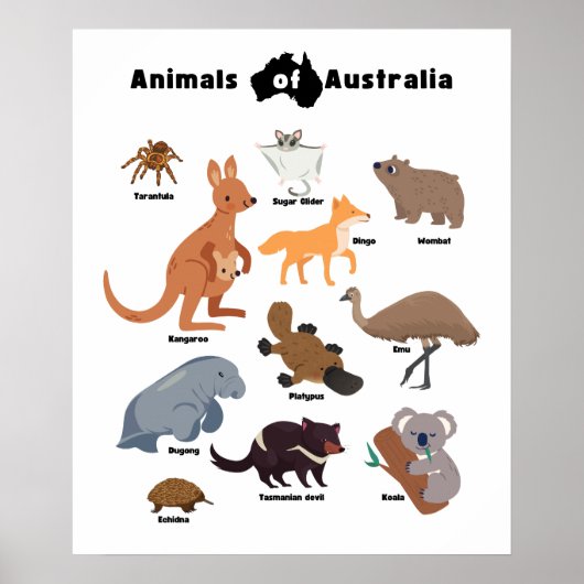 Dieren van Australië Aussie Wildlife Poster (Voorkant)
