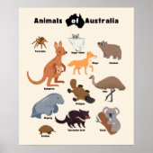 Dieren van Australië Aussie Wildlife Poster (Voorkant)
