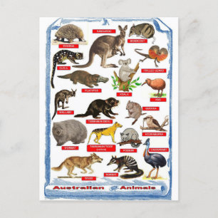 Dieren van Australië briefkaart