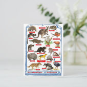 Dieren van Australië briefkaart (Staand voorkant)