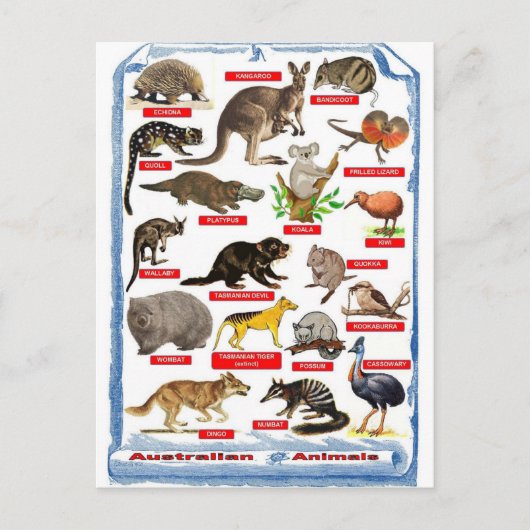 Dieren van Australië briefkaart (Voorkant)