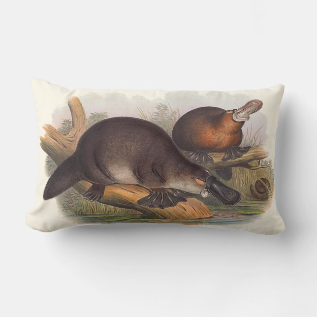 Dieren van Australische kruiden Kussen (Voorkant)