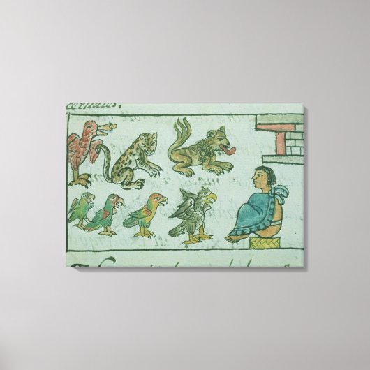 Dieren van de Aztec Emperor Canvas Afdruk (Voorkant)