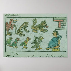Dieren van de Aztec Emperor Poster