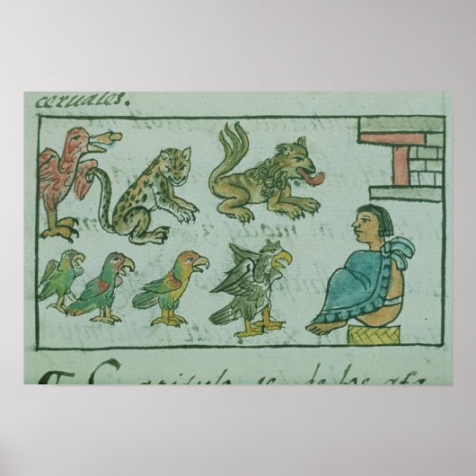 Dieren van de Aztec Emperor Poster (Voorkant)