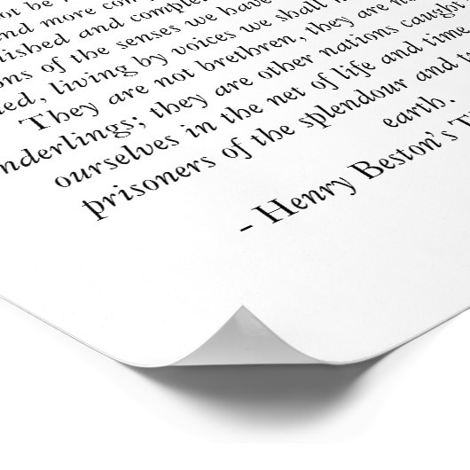 Dieren van de buitenste kamer poster (Hoek)