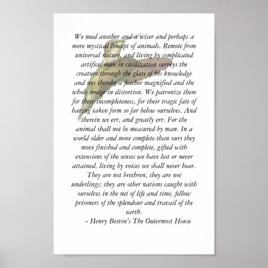 Dieren van de buitenste kamer poster (Voorkant)