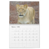 Dieren van de dierentuin van Brookfield Kalender (Feb 2026)