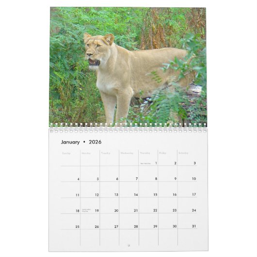 Dieren van de dierentuin van Brookfield Kalender (Jan 2026)
