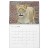 Dieren van de dierentuin van Brookfield Kalender (Feb 2027)