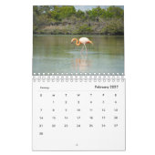 Dieren van de kalender Galapagos 2019 (Feb 2027)