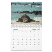 Dieren van de kalender Galapagos 2019 (Jan 2027)