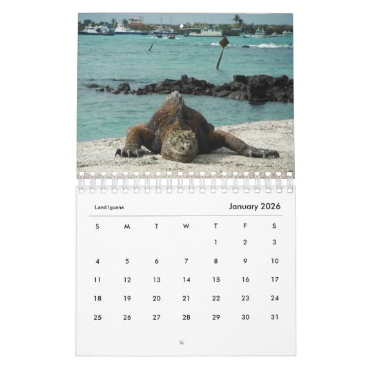 Dieren van de kalender Galapagos 2019 (Jan 2026)