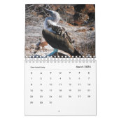 Dieren van de kalender Galapagos 2019 (Mar 2026)
