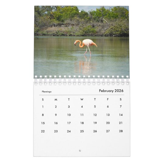Dieren van de kalender Galapagos 2019 (Feb 2026)