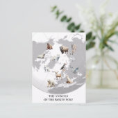 Dieren van de Noordpool Briefkaart (Staand voorkant)