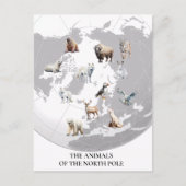Dieren van de Noordpool Briefkaart (Voorkant)