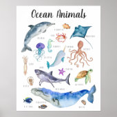 Dieren van de Oceaan | Onderwijs Leren Klaslokaal Poster (Voorkant)