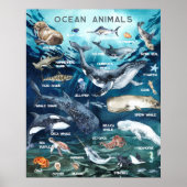 Dieren van de Oceaan | Onderwijs Leren Klaslokaal Poster (Voorkant)