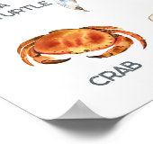 Dieren van de Oceaan | Onderwijs Leren Klaslokaal Poster (Hoek)