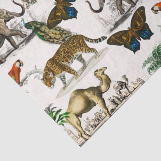  dieren van D'Orbigny Tissuepapier (Detail)