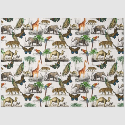  dieren van D'Orbigny Tissuepapier (Voorkant)