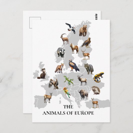 Dieren van Europa Briefkaart (Voorkant / Achterkant)