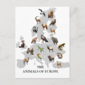 Dieren van Europa Briefkaart (Voorkant)