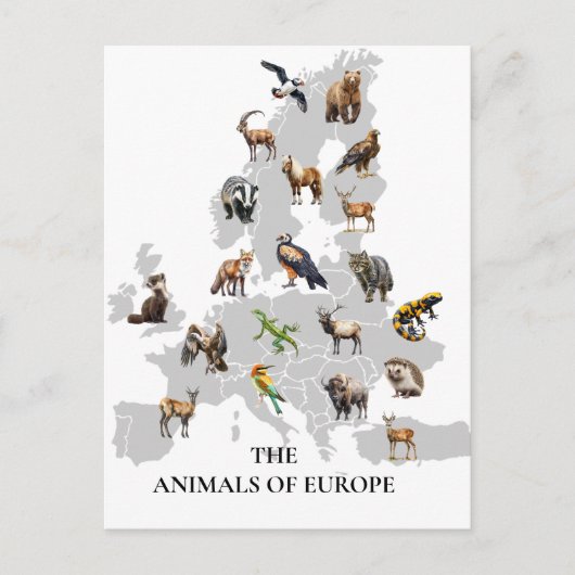 Dieren van Europa Briefkaart (Voorkant)