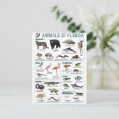 Dieren van Florida, Florida USA wilde lide Briefkaart (Staand voorkant)