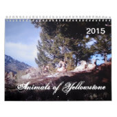 Dieren van geelsteen, op maat gedrukt kalender (Hoes)