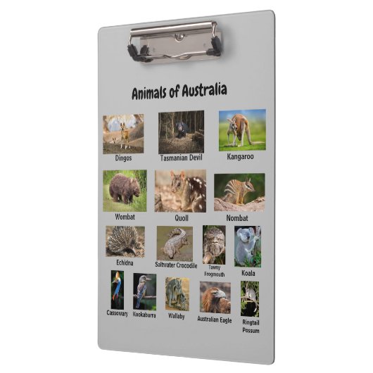 Dieren van het Australische klembord (Links)