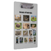 Dieren van het Australische klembord (Rechts)