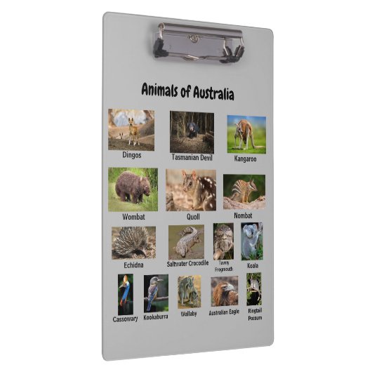 Dieren van het Australische klembord (Rechts)