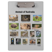 Dieren van het Australische klembord (Voorkant)