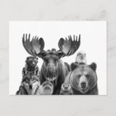 Dieren van het Beer van Alaska Portrait Moose Wolf Briefkaart (Voorkant)