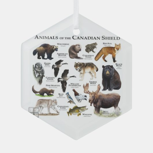 "Dieren van het Canadese Schild." Glas Ornament (Voorkant)