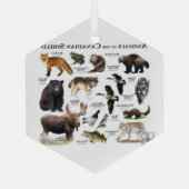 "Dieren van het Canadese Schild." Glas Ornament (Achterkant)