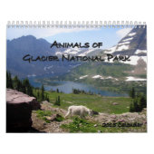 Dieren van het Nationaal Park Glacier 2015 Kalender (Hoes)