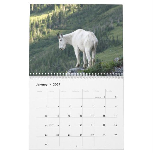Dieren van het Nationaal Park Glacier 2015 Kalender (Jan 2027)