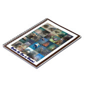 Dieren van het zee notitieboek (Linkerzijde)