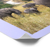 Dieren van Tanzania Africa Poster (Hoek)