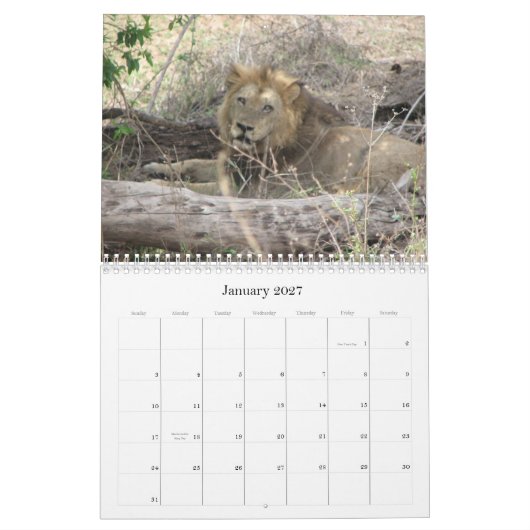 Dieren van Zuid-Afrika Kalender (Jan 2027)