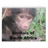 Dieren van Zuid-Afrika Kalender (Hoes)