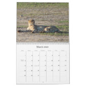 Dieren van Zuid-Afrika Kalender (Mar 2026)