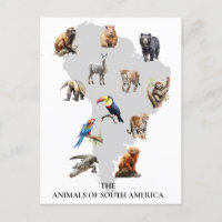 Dieren van Zuid-Amerika Wilde dieren