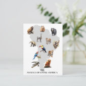 Dieren van Zuid-Amerika Wilde dieren Briefkaart (Staand voorkant)
